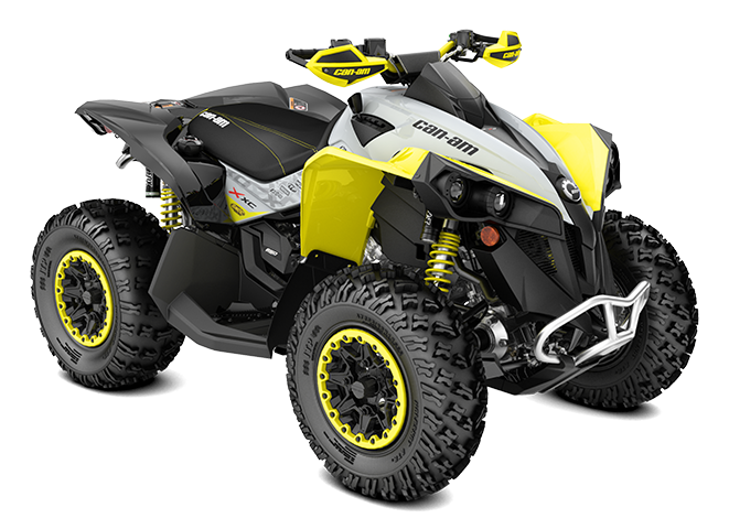 Custom  Can-Am Renegade Graphics-Full kit